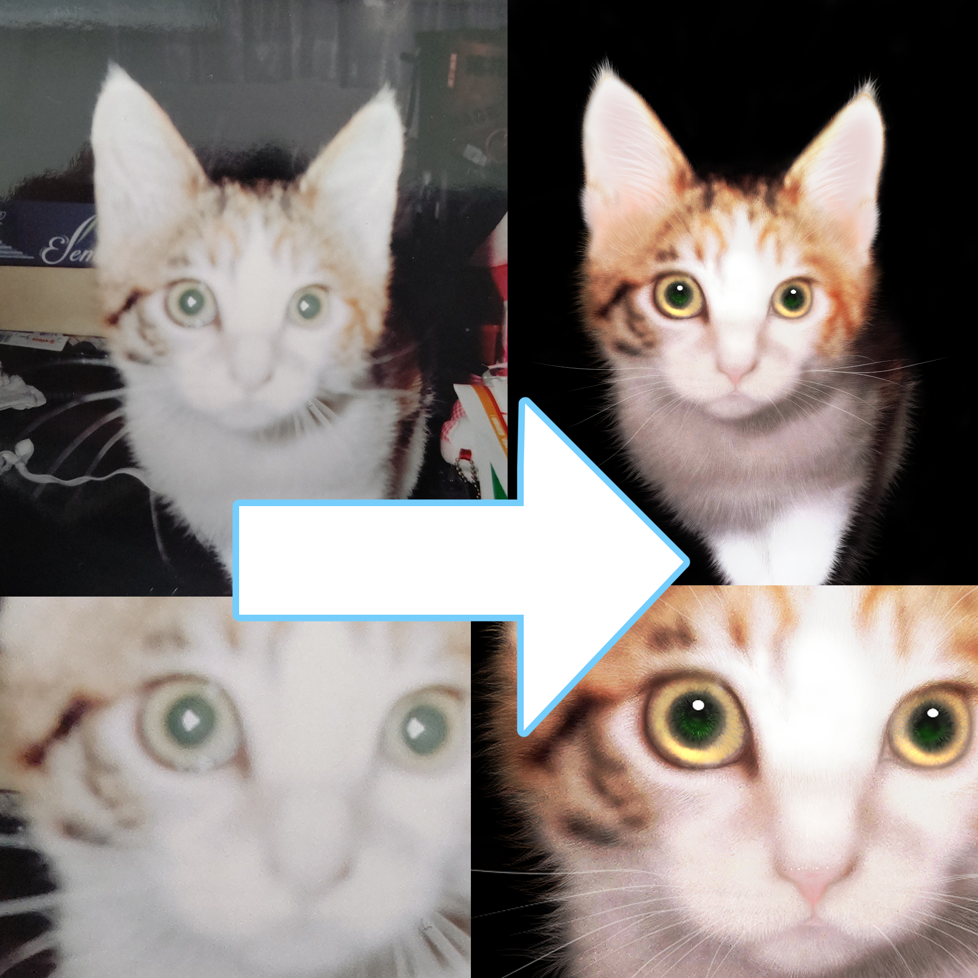 ココナラやってみた